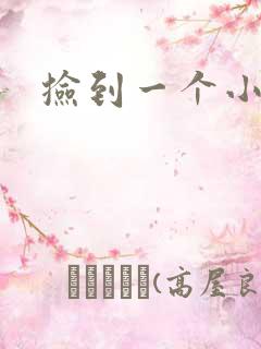 捡到一个小妖精