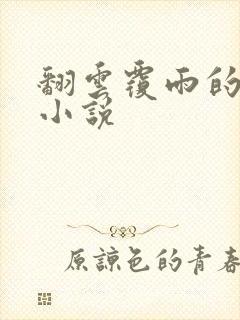 翻云覆雨的秘密小说