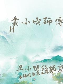 丛小吃师傅的HH