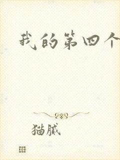 我的第四个老公