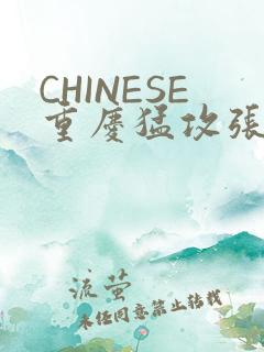 CHINESE重庆猛攻张先生