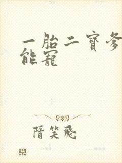一胎二宝爹地超能宠