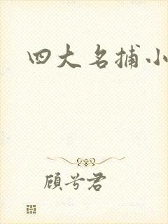 四大名捕小说