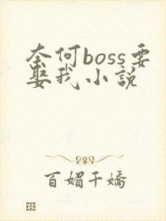 奈何boss要娶我小说