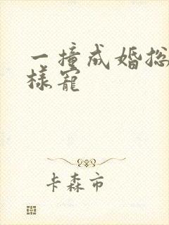 一撞成婚总裁花样宠