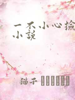 一不小心捡到爱小说