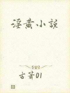 淫黄小说
