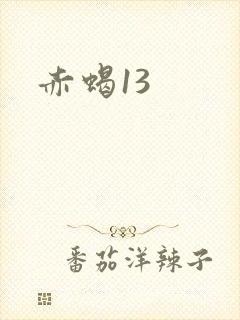 赤蝎13