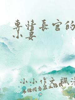 专情长官的天价小妻