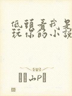 低头看我是怎么玩你的小说