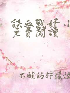 铁血战婿 小说免费阅读