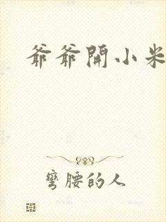 爷爷开小米的包