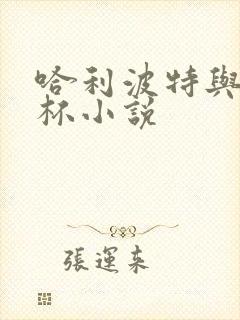 哈利波特与火焰杯小说