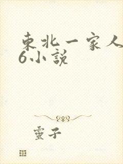 东北一家人1一6小说