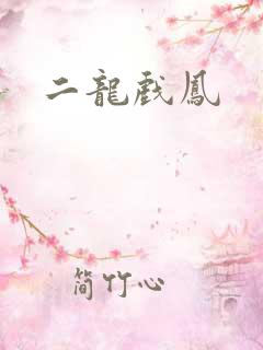 二龙戏凤