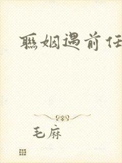 联姻遇前任小说