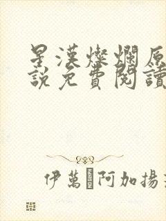 星汉灿烂原著小说免费阅读