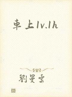 车上1v.1h