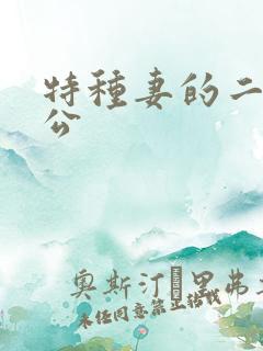 特种妻的二手老公