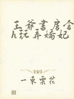 王爷书房含乳尖h玩弄娇妃