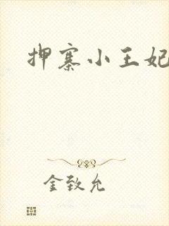 押寨小王妃
