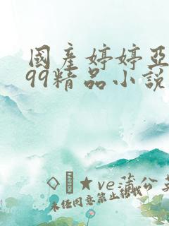 国产婷婷亚洲999精品小说