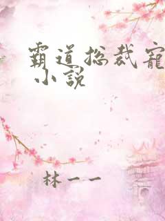 霸道总裁宠上天 小说