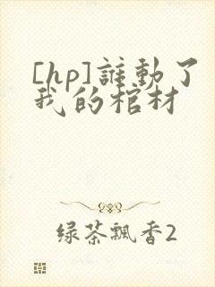 [hp]谁动了我的棺材