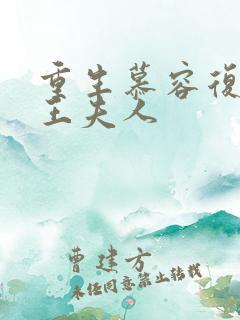 重生慕容复之弄王夫人