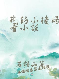 我的小后妈免费看小说