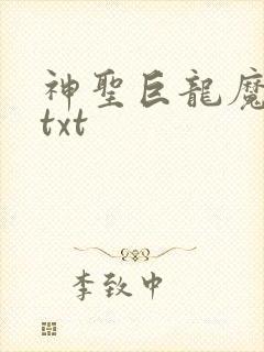 神圣巨龙魔法师txt