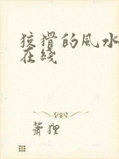 狡猾的风水相师在线