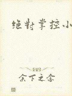 绝对掌控小说