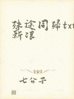 殊途同归txt新浪