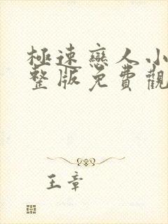 极速恋人小说完整版免费观看