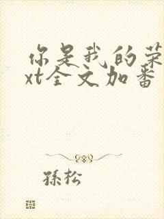 你是我的荣耀txt全文加番外