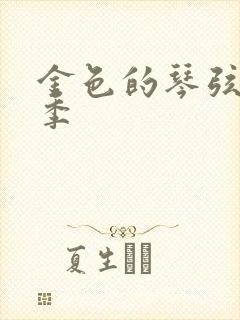 金色的琴弦第二季