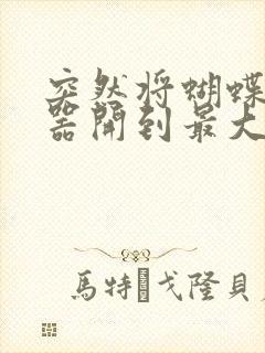 突然将蝴蝶遥控器开到最大