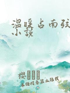 温暖占南弦尹衿小说