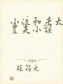 小流和老太69农夫小说