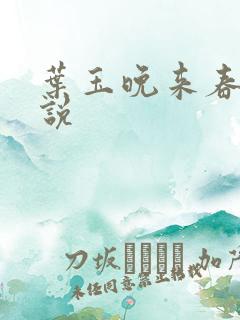 叶玉晚来春 小说