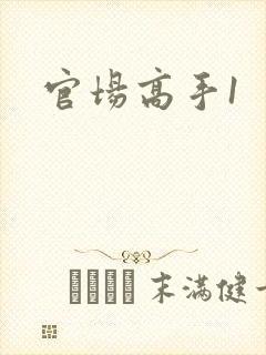 官场高手1