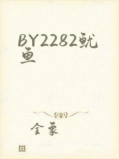 BY2282鱿鱼