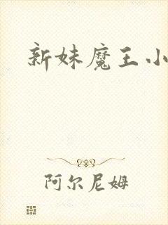 新妹魔王小说