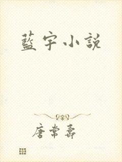 蓝宇小说