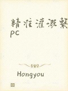 精准灌溉系统npc