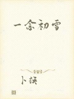 一念初雪