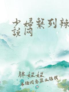 少妇系列辣文小说网