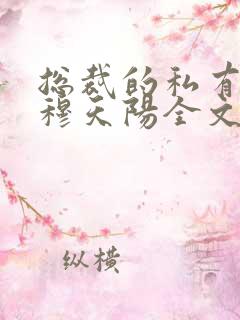 总裁的私有宝贝穆天阳全文阅读