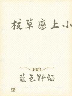 校草恋上小丫头